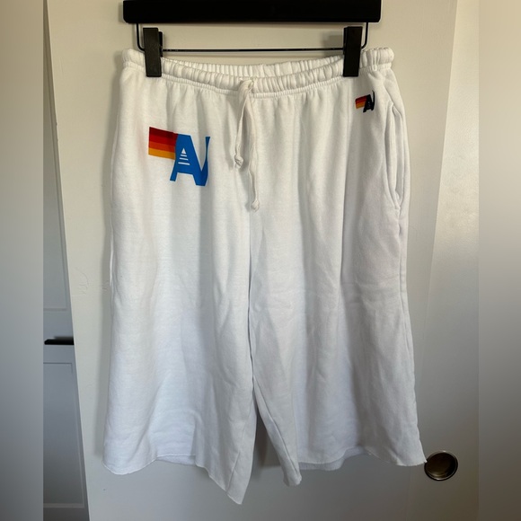 Aviator Nation Other - NWT Aviator Nation Men’s Logo Sweatshorts Size XXL